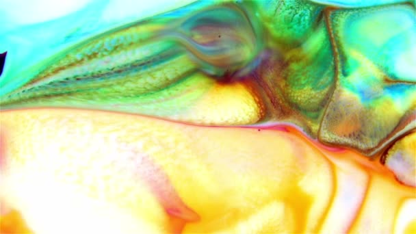 Αφηρημένη Έγχρωμη Μελάνη Υγρό Pshychedelic Χρώμα Blast Κίνημα — Αρχείο Βίντεο