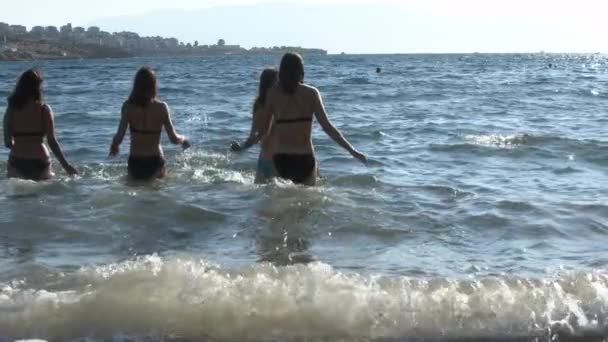 Alegres Jovens Mulheres Amigos Estão Chegando Mar Praia — Vídeo de Stock