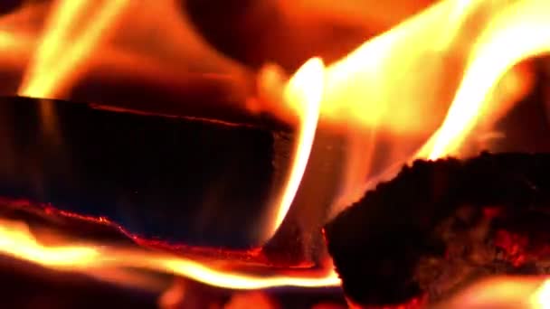 Вогонь Дерев Яних Уламків Згорають Лісовій Стоці — стокове відео