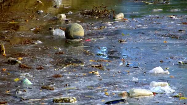 Contaminación Del Agua Desperdiciada Residuos Arrojados Por Humanos Lecho Arroyo — Vídeo de stock