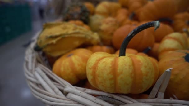 Pequeñas Calabazas Una Canasta Hierba — Vídeos de Stock