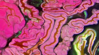 Bu stok videosu, yüzeyde yavaş çekimde yayılan renkli sıvı boya karışımının görsel efektler için organik arka plan olarak kullanılabilecek aşırı yakın çekim görüntülerini içeriyor.