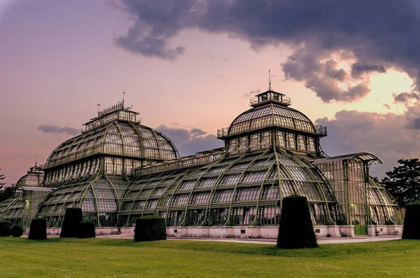 Palm House Park Castle Vienna — Stock Photo, Image