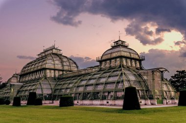 Viyana 'daki şatonun yanındaki parkta bir Palm House.