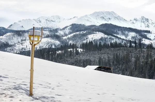 Caixa de alimentação de aves de madeira nas montanhas Tatra no inverno . — Fotografia de Stock