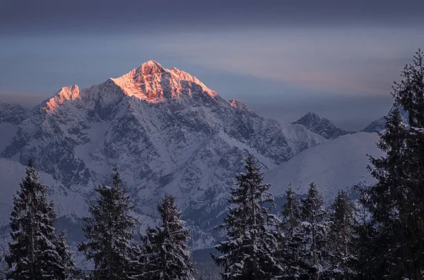 Теплий помаранчевий захід сонця світлий живопис вершина засніжених гір в зимовий час . — стокове фото