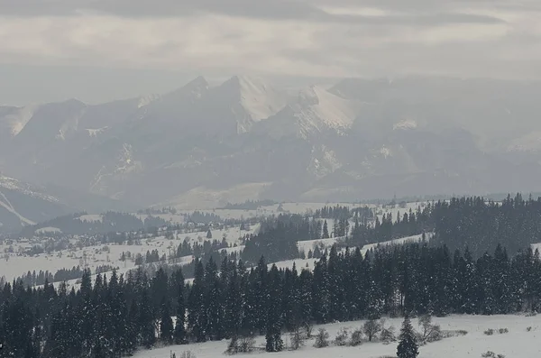 Montagne nebbiose in inverno - Montagne Tatra in Polonia . — Foto Stock