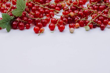 Beyaz arka plan üzerinde izole kırmızı kuş üzümü kümesi