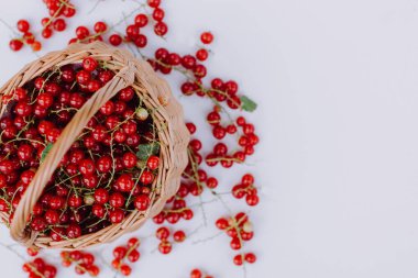 Beyaz bir arka plan üzerinde izole kırmızı kuş üzümü bir sepet içinde dizi
