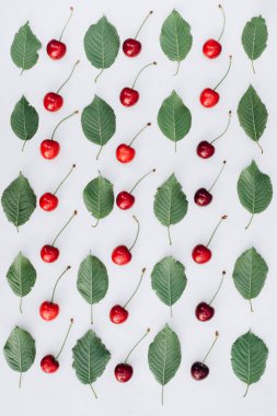 Olgun kiraz ve yaprak ile renkli parlak desen. Üstten görünüm. yer kirazı