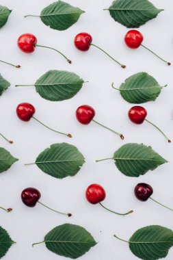 Olgun kiraz ve yaprak ile renkli parlak desen. Üstten görünüm. Güzel konumlandırılmış kiraz