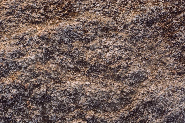 taş doku. Taş yüzey