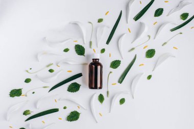 Tıp ot. Vitamini ek bakım, ilaç, tedavi için. Lily, Melissa otlar üzerinde beyaz bir arka plan - bir seçki ile uçucu yağ şişeleri