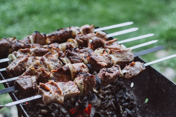 Parrilla Barbacoa Con Varios Tipos Carne Primer Plano —  Fotos de Stock