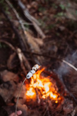 Fry Marshmallow ormanın içinde yanıyor