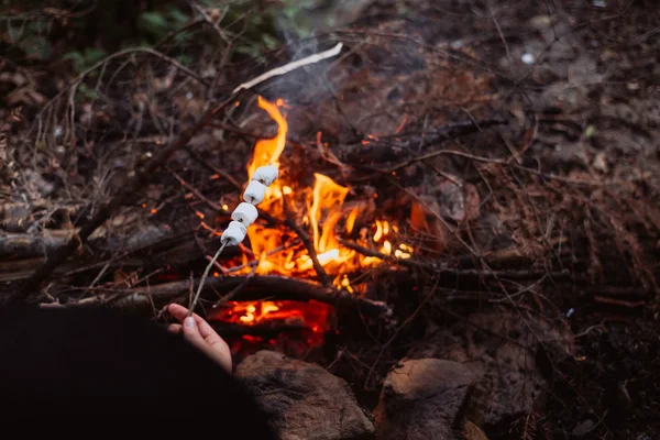 Fry Marshmallow Ormanın Içinde Yanıyor — Stok fotoğraf