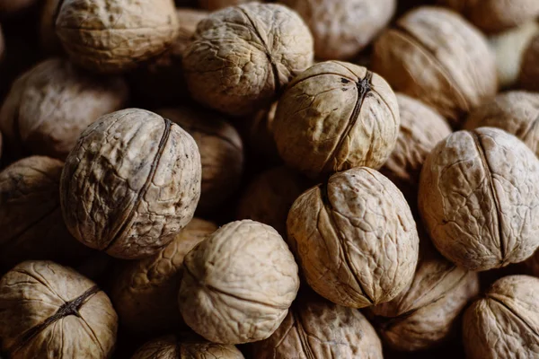 Stock image A lot of ripe nuts.