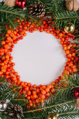 Noel kompozisyon. Noel ağaç dalları ve beyaz zemin üzerine kırmızı meyveler çelenk yaptı. Yat, görünümü ana sayfa, yer kopyalayın, daire