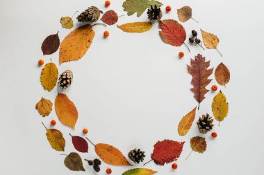 Sonbahar düzleşmesi, üst görünüm yaratıcı model düzenleme.