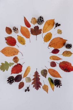 Sonbahar düzleşmesi, üst görünüm yaratıcı model düzenleme.