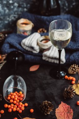  şarap gözlük, kırmızı meyveler, darbelere ve sonbahar karanlık masaya şubeleri. Sonbahar ya da kış konsepti.