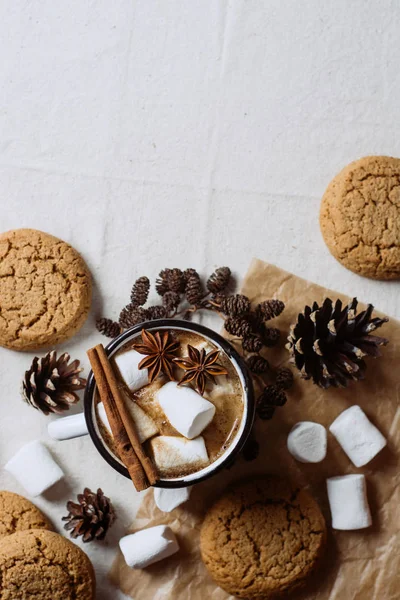 Winter Autumn Hot Drink Hot Chocolate Cocoa Marshmallow Cookies Spices — Stock Photo, Image