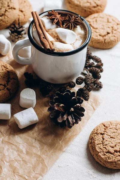 Bebida Quente Inverno Outono Chocolate Quente Cacau Com Marshmallow Biscoitos — Fotografia de Stock
