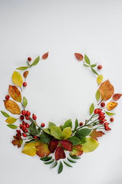 Sonbahar yaprakları tanzimi. düz yatıyordu, en iyi görünümü düşmek