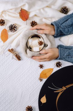 Sonbahar ve kış kompozisyon. Kadınların elleri bir fincan sıcak kahve Marshmallow, eşarp, tanımlama bilgileri, diken diken ve sonbahar yaprakları ile tutun. Düz yatıyordu, en iyi görünümü