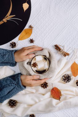 Sonbahar ve kış kompozisyon. Kadınların elleri bir fincan sıcak kahve Marshmallow, eşarp, tanımlama bilgileri, diken diken ve sonbahar yaprakları ile tutun. Düz yatıyordu, en iyi görünümü
