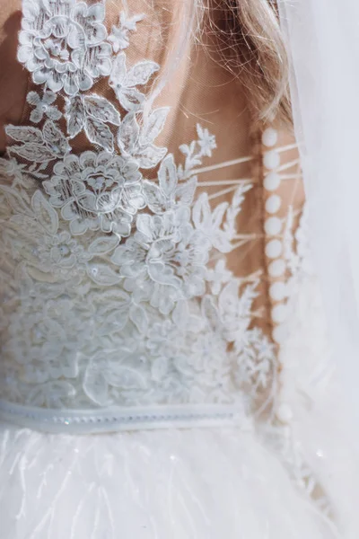 Spine Bride Details Wedding Dress — Stock Photo, Image