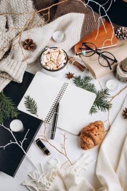 Kış düz yatıyordu. Sıcak çikolata veya kakao ile hatmi, kurabiye, defter ve tartan dokulu süveter ile beyaz arka plan üzerinde.