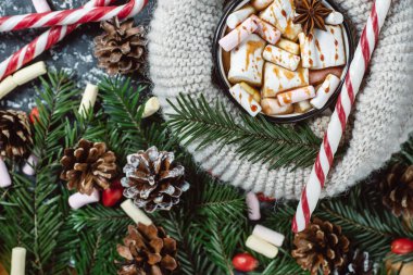 Kış düz yatıyordu. Sıcak çikolata veya kakao marshmallow ile şeker ve koyu arka plan üzerinde çam dalları ile.