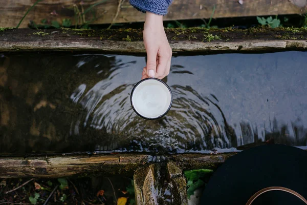 Woman Hand Holds Mug Spring Water Woods — Stock Photo, Image