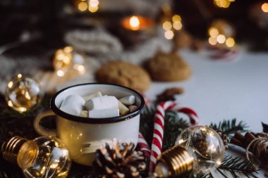 Kış sıcak içecek. Çikolata veya kakao ile hatmi, kurabiye, şeker beyaz arka plan üzerinde.