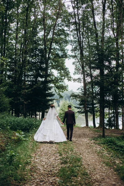 Casal Casamento Andando Floresta — Fotografia de Stock