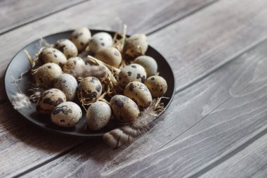 Ahşap arka plan üzerinde siyah plaka üzerinde çiğ Bıldırcın yumurta