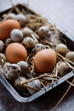Çiğ bıldırcın, tavuk yumurtası siyah plaka, Paskalya kavramı, karanlık beton arka plan, görünümü top, 