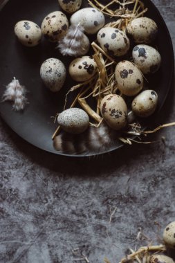 Çiğ Bıldırcın yumurta siyah plaka, Paskalya kavramı, karanlık beton arka plan, üstten görünüm
