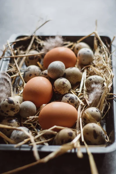 Raw Quail Chicken Eggs Black Plate Easter Concept Dark Concrete — Stock Photo, Image