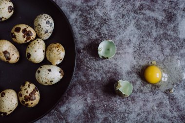Grup Bıldırcın yumurta çimento arka plan, Paskalya kavramı, üstten görünüm  