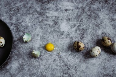 Grup Bıldırcın yumurta çimento arka plan, Paskalya kavramı, üstten görünüm  