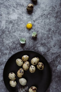 Grup Bıldırcın yumurta çimento arka plan, Paskalya kavramı, üstten görünüm  
