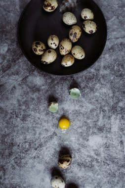 Grup Bıldırcın yumurta çimento arka plan, Paskalya kavramı, üstten görünüm  