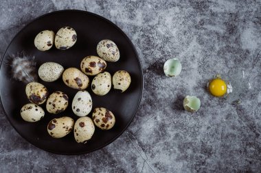 Grup Bıldırcın yumurta çimento arka plan, Paskalya kavramı, üstten görünüm  