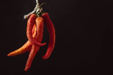 Grup, karanlık bir arka plan üzerinde yazıt tarafından bağlı kırmızı sıcak biber chilies biber. Metin için yer