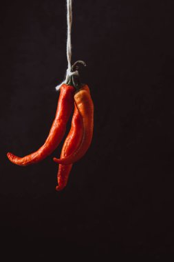 Grup, karanlık bir arka plan üzerinde yazıt tarafından bağlı kırmızı sıcak biber chilies biber. Metin için yer