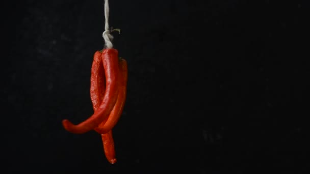 Tied Bunch Red Chili Peppers Spin Dark Background — Stock Video