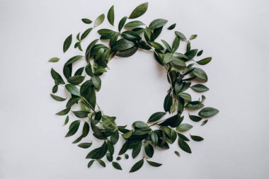 Beyaz zemin üzerine yeşil yaprakları dekoratif çemberi. Düz yatıyordu