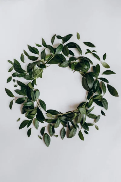 Decorative circle of green leaves on a white background.  Flat lay